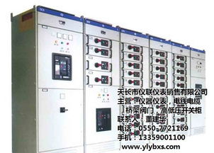 gg 1a開關(guān)柜生產(chǎn)廠家,天長(zhǎng)儀聯(lián)儀表,gg 1a開關(guān)柜高清圖片 高清大圖