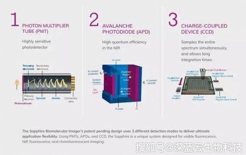 APD與PMT在光電器件中區別解析
